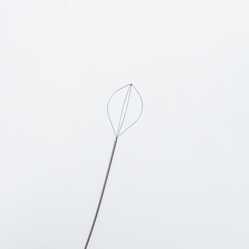 02 Renal Stone Removal-Flexible Nitinol Stone Basket