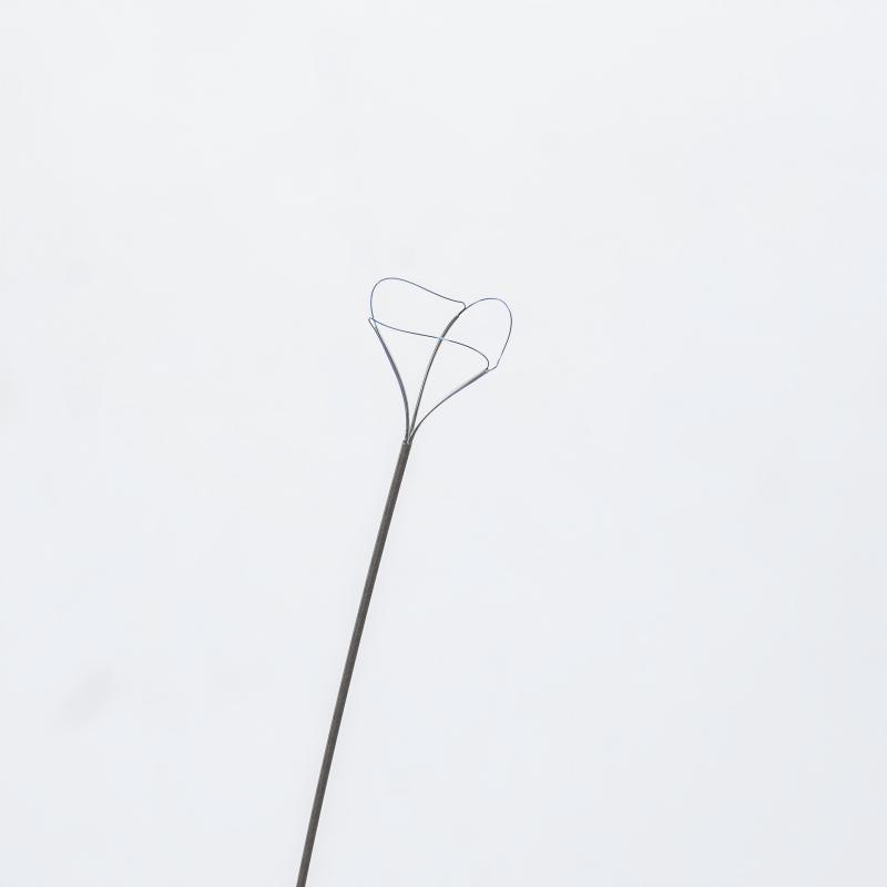 06 Renal Stone Removal-Flexible Nitinol Stone Basket