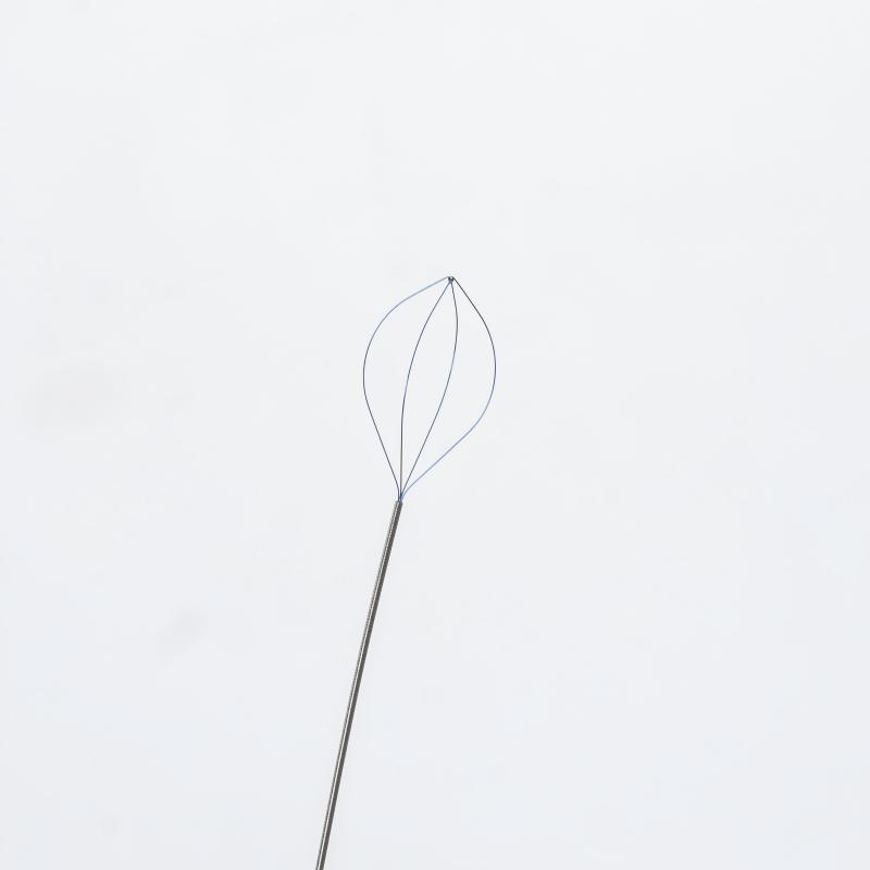 07 Renal Stone Removal-Flexible Nitinol Stone Basket